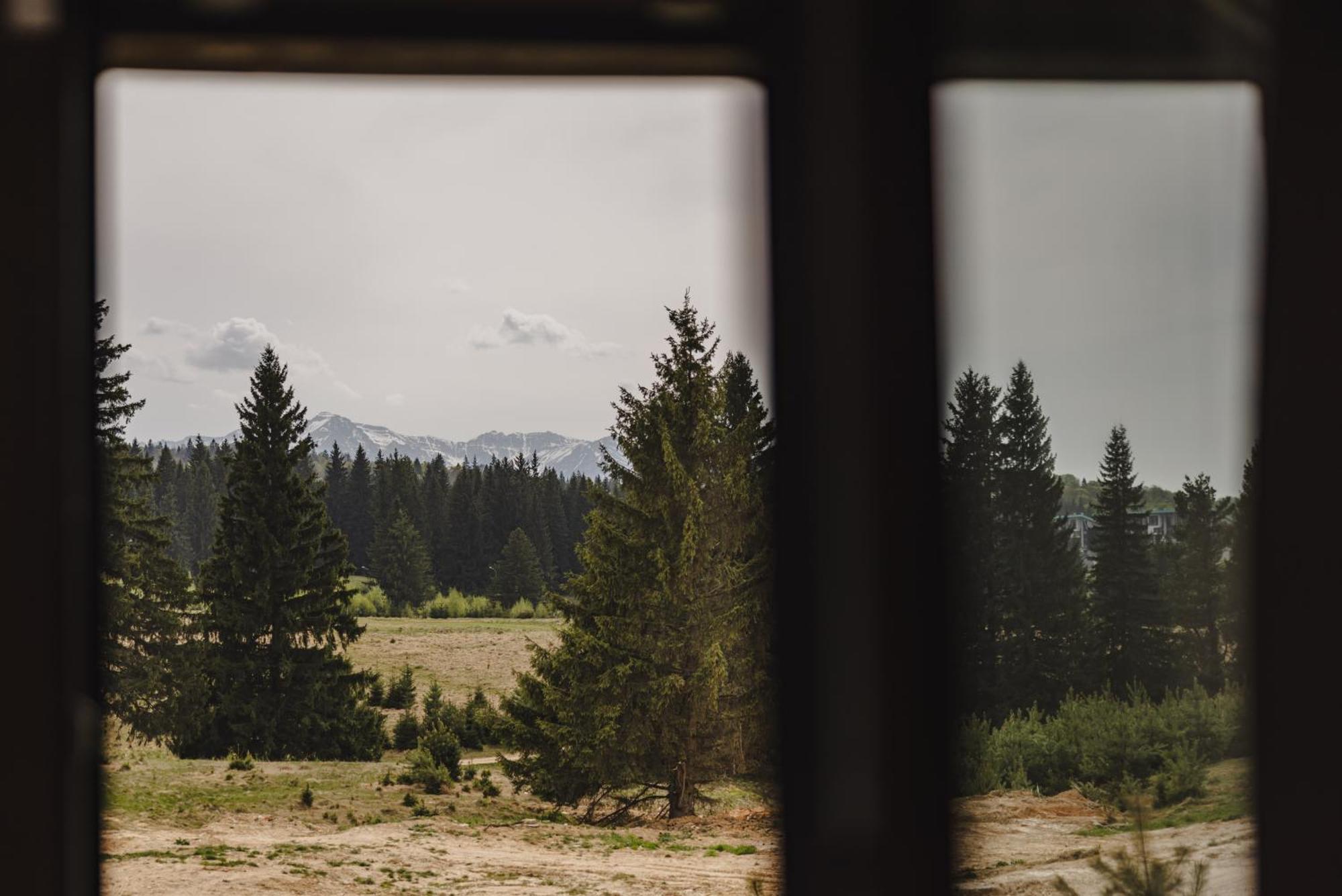 Albert Residence Aparthotel Grand Chalet With Free Spa Access To Alpin Resort Poiana Brasov Exterior foto